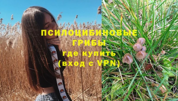 крисы Алзамай
