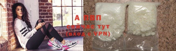 дживик Осташков