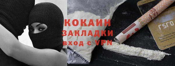 крисы Алзамай
