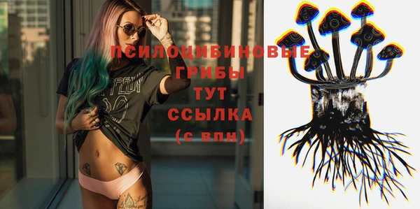 ALPHA PVP Алексеевка