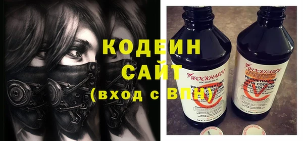 стаф Осинники