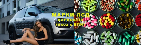 крисы Алзамай